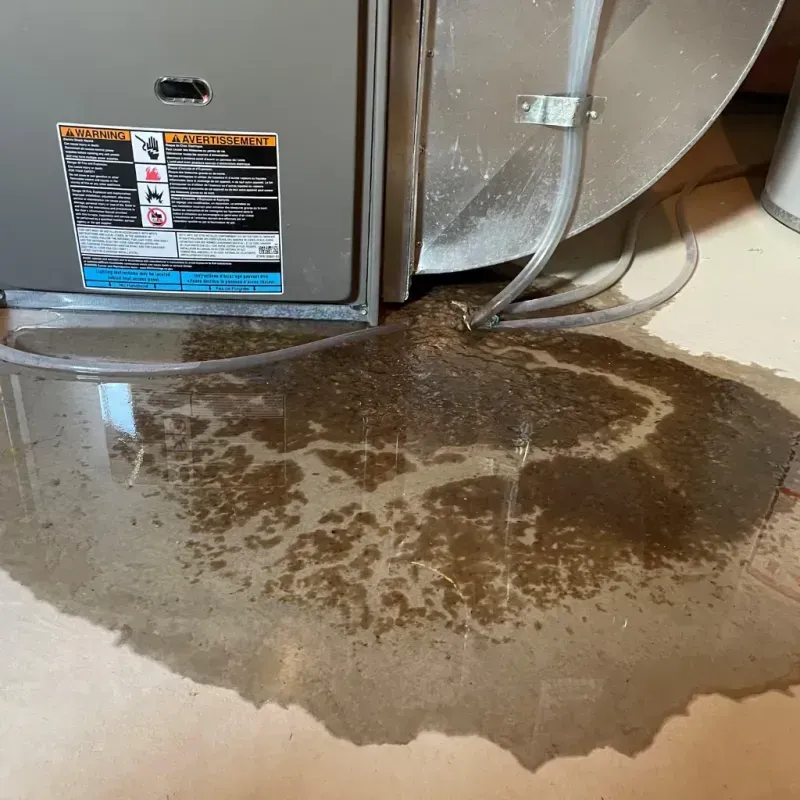 Appliance Leak Cleanup in Huntsville, AL